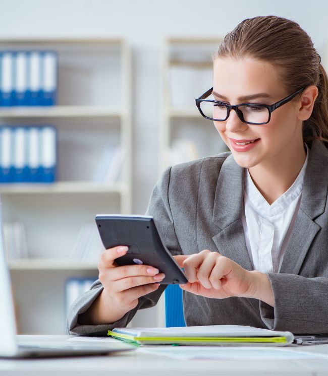 Professional individual tax preparation consultation